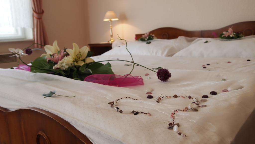 Pension Habermannova Vila Bludov  Oda fotoğraf